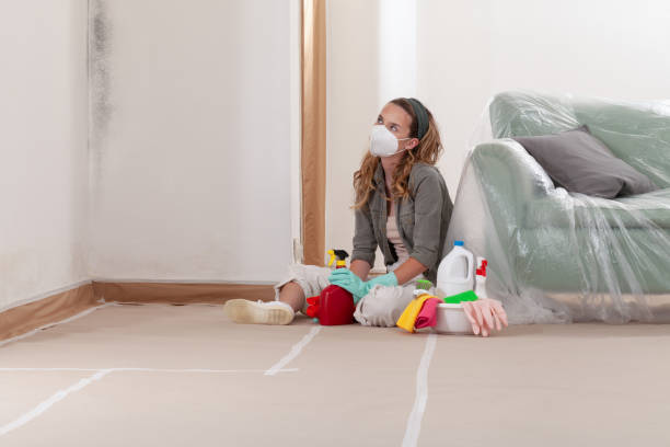 Reliable Mold Remediation contractor in Belvidere, IL by WQB Mold Removal